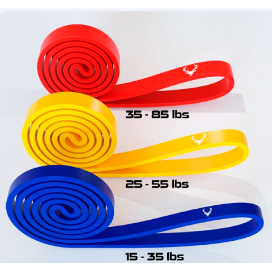 Premium Resistance Bands